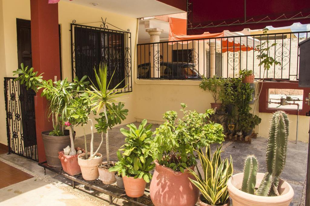 La Casa Del Chac Villa Mérida Exteriör bild