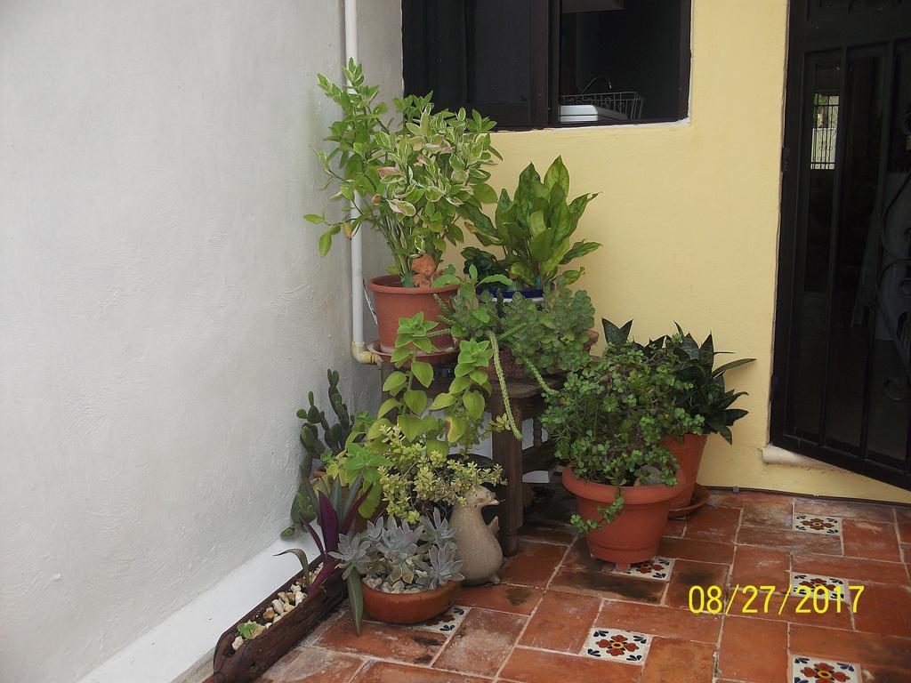La Casa Del Chac Villa Mérida Exteriör bild